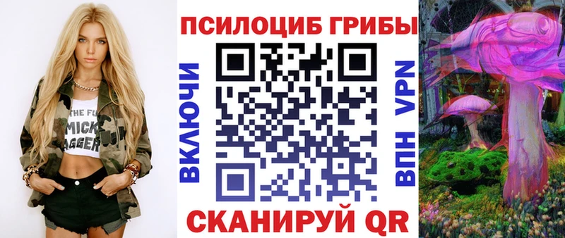 это как зайти Вичуга Галлюциногенные грибы Psilocybe